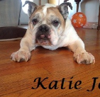 Katie Jo. ..2003-2015